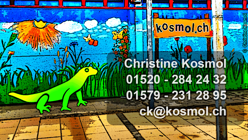 Christine Kosmol , Mobil1 015202842432, Mobil2 015792312895, Email ck@kosmol.ch